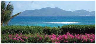 Anguilla Captive Insurance subsidiary