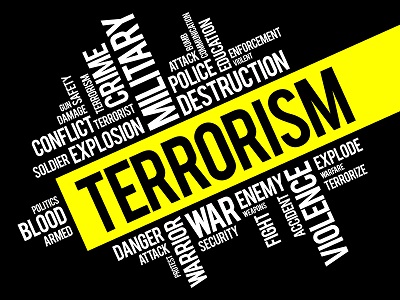 Terrorism insurance and captive formation
