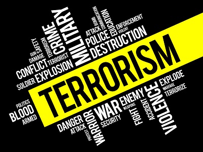 Terrorism insurance and captive formation